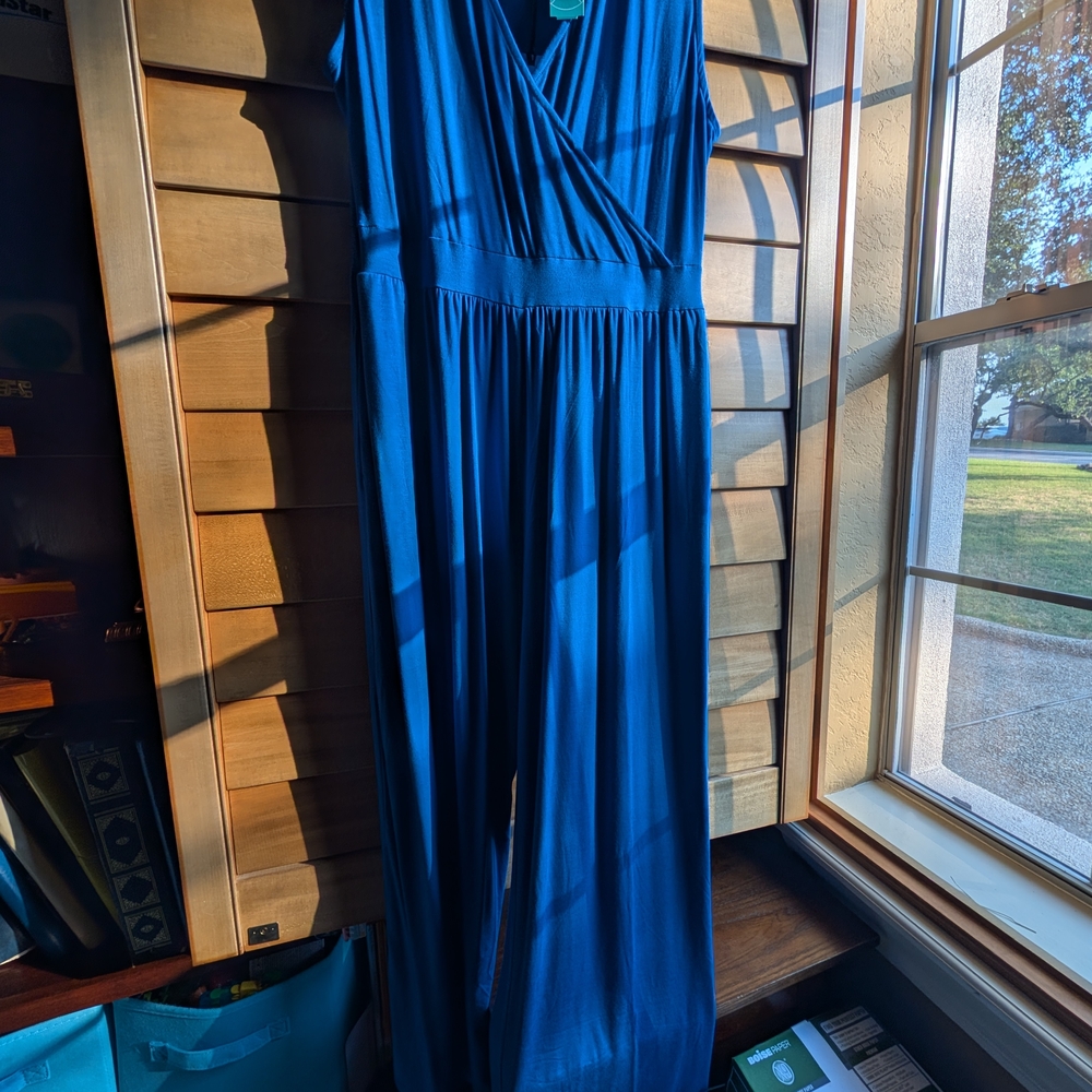 41 Hawthorn Deep Blue Sleeveless Jumpsuit